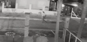 STJ nega recursos das defesas de mãe e madrasta acusadas de assassinar menino Miguel