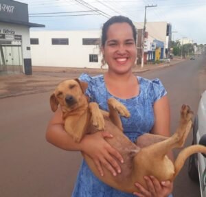 Cachorro fiel esperou por quase 7 horas por sua dona que fazia Enem na porta da escola