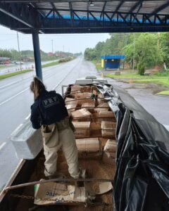 PRF prende homem com uma tonelada e meia de maconha em Osório