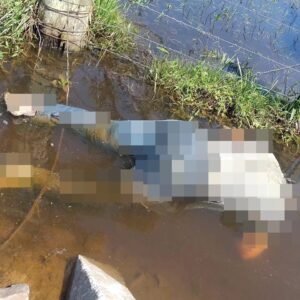 CORPO É ENCONTRADO PRÓXIMO AO HORTO FLORESTAL DE OSÓRIO