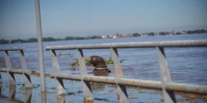 Nível do Guaíba atinge três metros e Comportas serão Fechadas em Porto Alegre