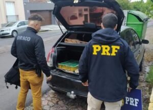 Trio é preso em rodovia gaúcha ao transportar 150 aves silvestres no porta-malas de veículo