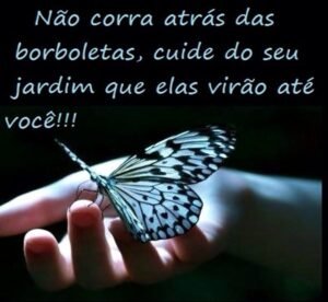 Mensagem do dia: Borboletas
