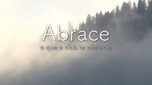 Mensagem do dia: Abrace o que a vida te oferece!