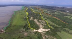 Área de Proteção Ambiental da Lagoa de Itapeva (APALI) completou 24 anos