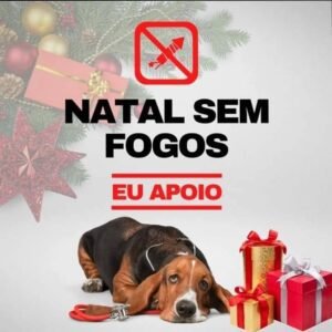 Barulho dos Fogos de Artifícios deixa os Animais Estressados