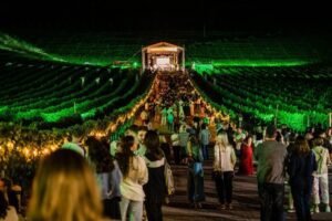 Papai Noel desce dos céus em meio às videiras de Bento Gonçalves