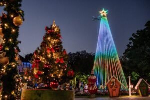 Magia do Natal, em Nova Petrópolis, tem final de semana recheado de atrações gratuitas