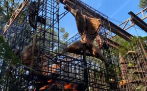 Parador Hampel terá Dia de Natal com “A Ferro e Fogo”