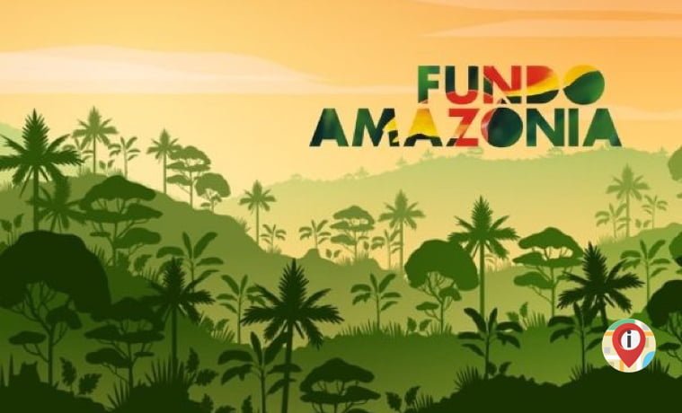 Na COP-28, Reino Unido formaliza doação ao Fundo Amazônia 1 Fundo Amazônia