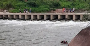 Criança de quatro anos desaparece após escorregar e cair em rio, em SC
