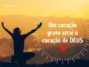 Mensagem do dia: Saiba Viver