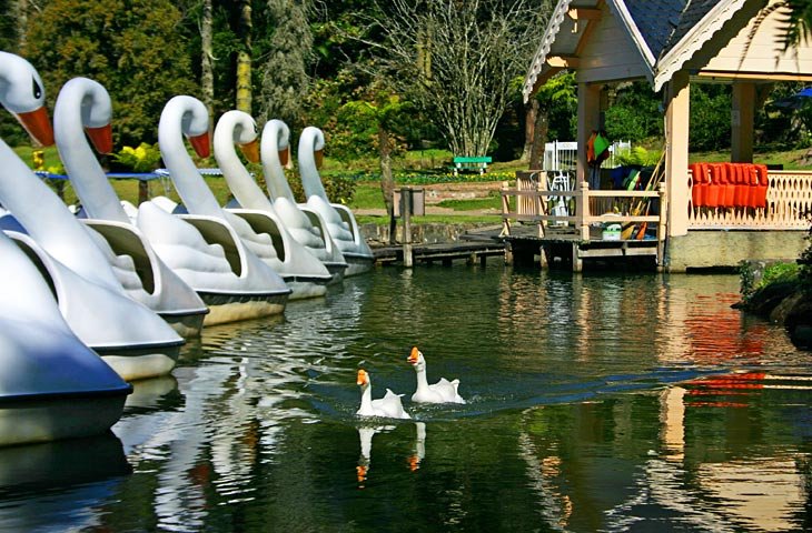 lago negro gramado rs 10