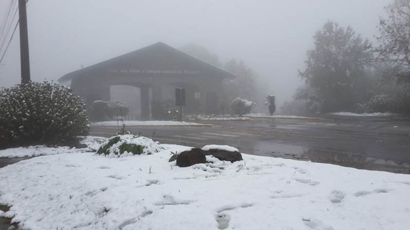 neve