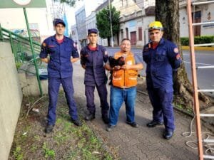 Resgate inusitado para o trânsito na região central de Taquara – Veja vídeo