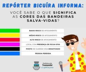 Você sabe o que representa cada Cor das Bandeiras Salva-vidas?