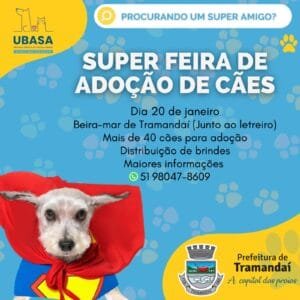 Procurando um Super Amigo? Super Feira de Adoção de Cães será realizada em Tramandaí 🐶❤️