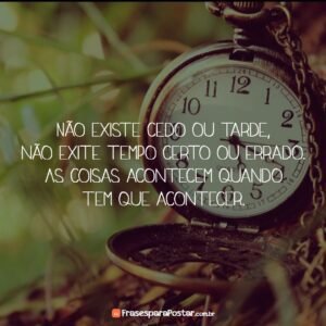 Mensagem do dia: Tempo Certo