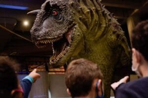 Museu da PUCRS lança colônia de férias para “pequenos cientistas”