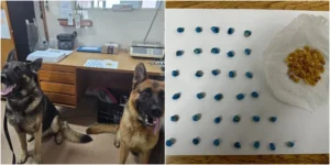 BM prende mulher com mais de 100 pedras de crack em Osório