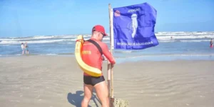 Em 20 dias, litoral do RS registra mais de 7 mil atendimentos por queimaduras de águas-vivas