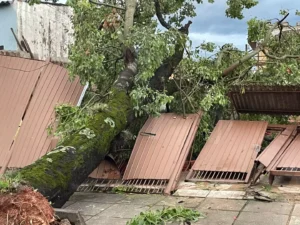 Temporais deixam mais de 1,2 milhão de pontos sem Energia Elétrica no Rio Grande do Sul