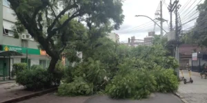 Defesa Civil do RS contabiliza 49 municípios e mais de 13 mil pessoas afetadas após o temporal