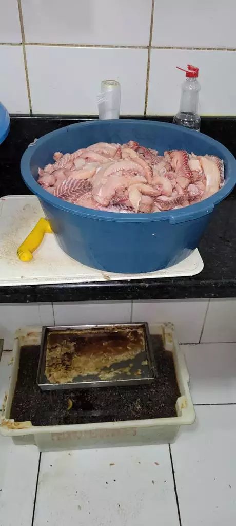capao3 
