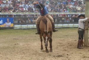 Rodeio de Canela abre as cancelas na Quinta-feira (11)