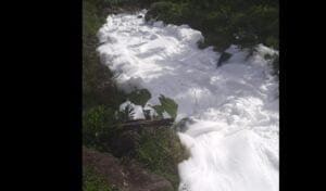 Na manhã desta segunda-feira (29), a Prefeitura de Joinville publica o Decreto de Situação de Emergência em função do acidente ocorrido com produto químico ocorrido na Serra Dona Francisca.