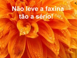 Mensagem do dia: Tire o pó se precisar