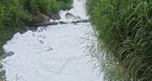 Companhia Águas de Joinville fecha preventivamente ETA do Cubatão