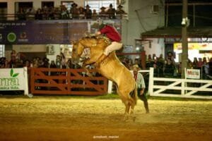 Mais de 500 mil pessoas são esperadas até o final do 35º Rodeio Internacional de Vacaria