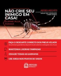 O mosquito Aedes aegypti é o principal transmissor de doenças como dengue, zika, chikungunya e febre amarela