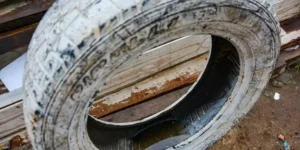 Porto Alegre registra 141 casos de dengue