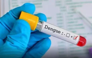 Rio Grande do Sul registra o quinto óbito por dengue em 2024
