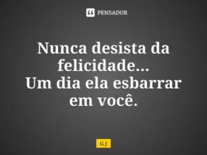 Mensagem do dia: Jamais desista de buscar sua Felicidade