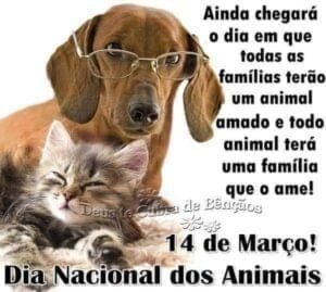Dia Nacional dos Animais é comemorado em 14 de Março no Brasil