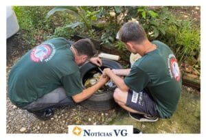 2 de março, é o Dia D Nacional para combater a dengue