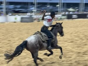 Movimento Tradicionalista Gaúcho (MTG) dá início à 34ª Festa Campeira do Rio Grande do Sul (FECARS)