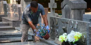 Mais de 70 bairros de Porto Alegre registram casos de dengue