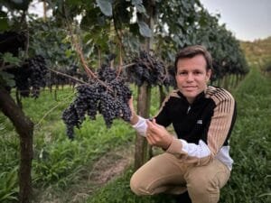 Rio Grande do Sul entra na rota do Poder da Família Produtores de uva do Sul