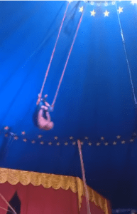 “Não é a primeira vez nem será a última”, diz Trapezista que caiu durante espetáculo em circo no RS
