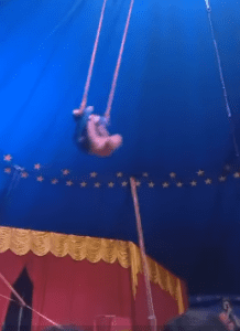 Um trapezista caiu na apresentação de estreia do Circo Texas em Capivari do Sul