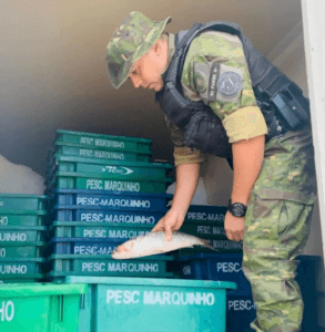 Mais de 500 quilos de pescado são apreendidos em Capivari do Sul