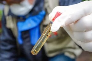 Três novas mortes por dengue são confirmadas no Rio Grande do Sul