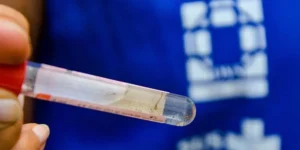 RS contabiliza 15ª morte por dengue