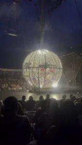 Acidente em globo da morte deixa motociclistas feridos em Balneário Camboriú, SC