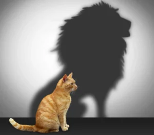 Mensagem do dia: O momento de ganhar Autoconfiança