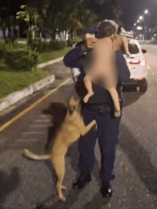 Policiais de Belém resgatam bebê de 1 ano que fugiu de casa com cachorro caramelo; veja vídeo